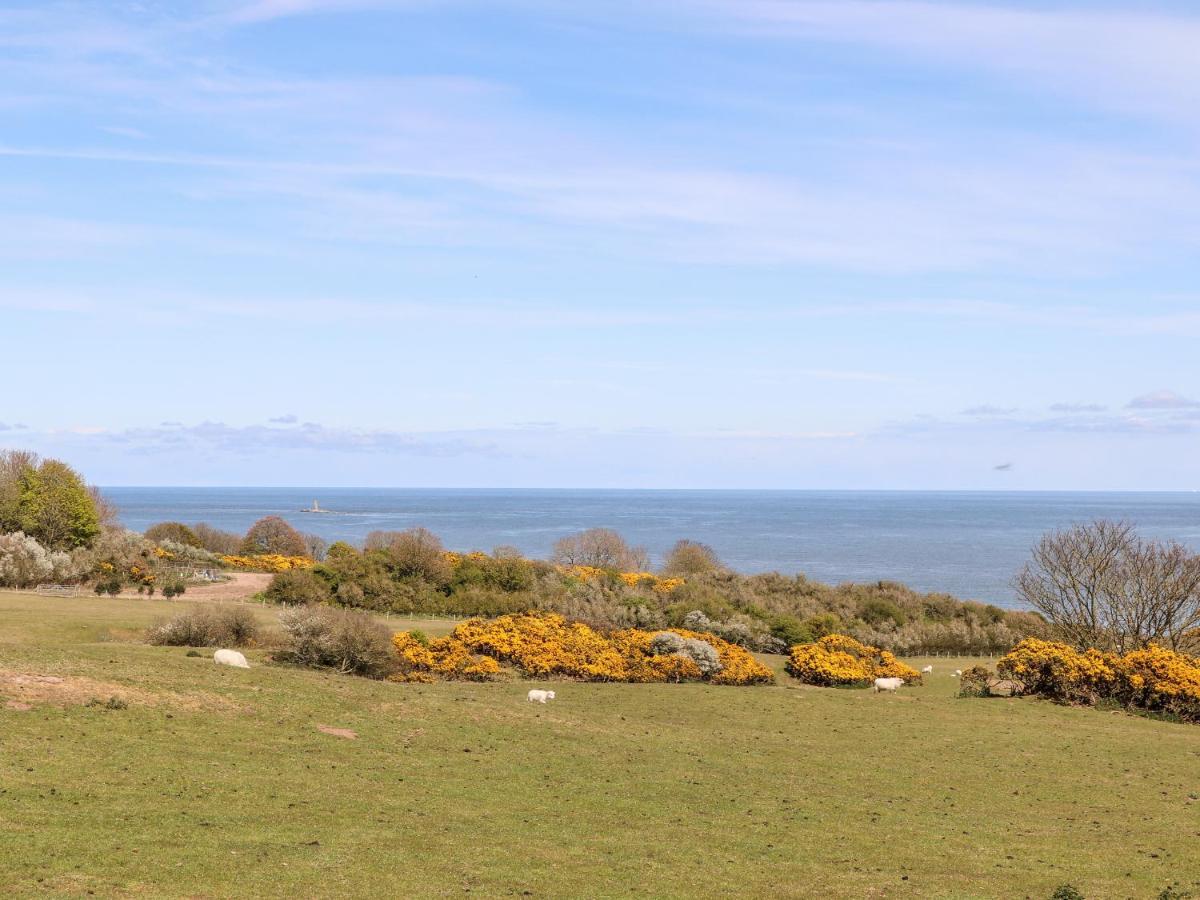 Bryn Hyfryd Caravan Penrhos-Lligwy Exterior foto